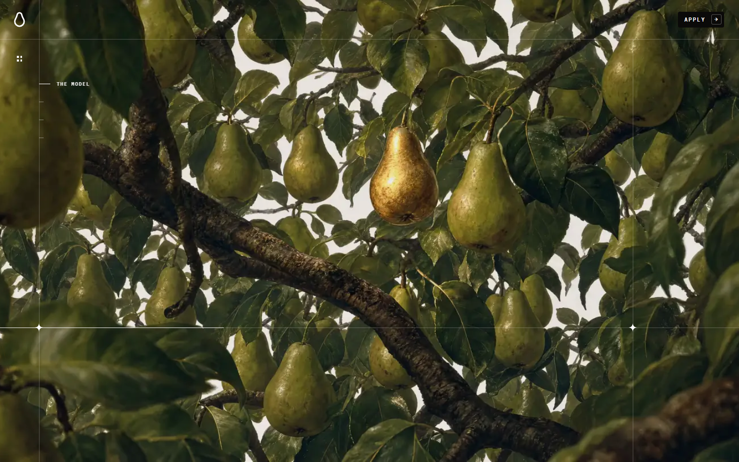 Pear website at scroll scene 3 of 13